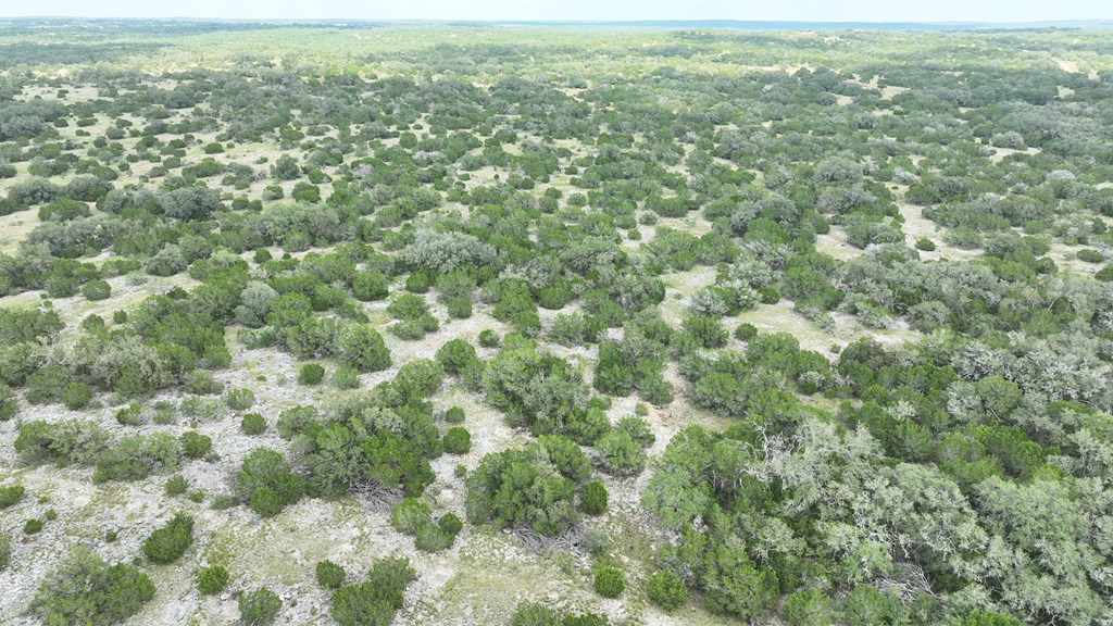 1862 Sd 31846 Rocksprings, TX 78880 - Photo 4 of 32 an aerial view of forest