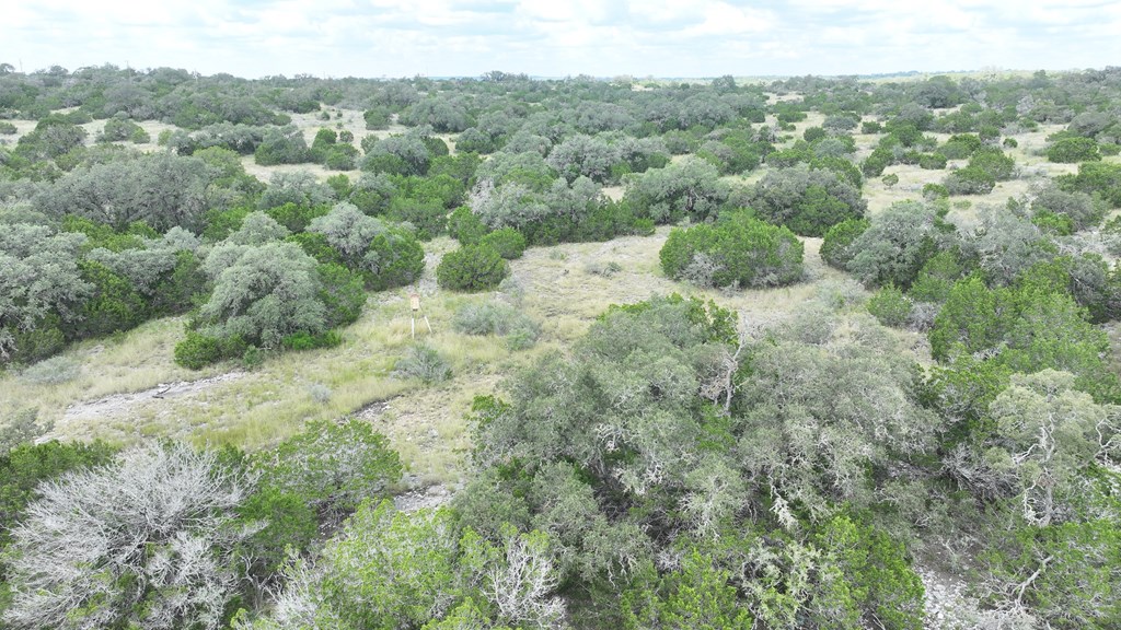 1862 Sd 31846 Rocksprings, TX 78880 - Photo 5 of 32 a view of a forest with a street