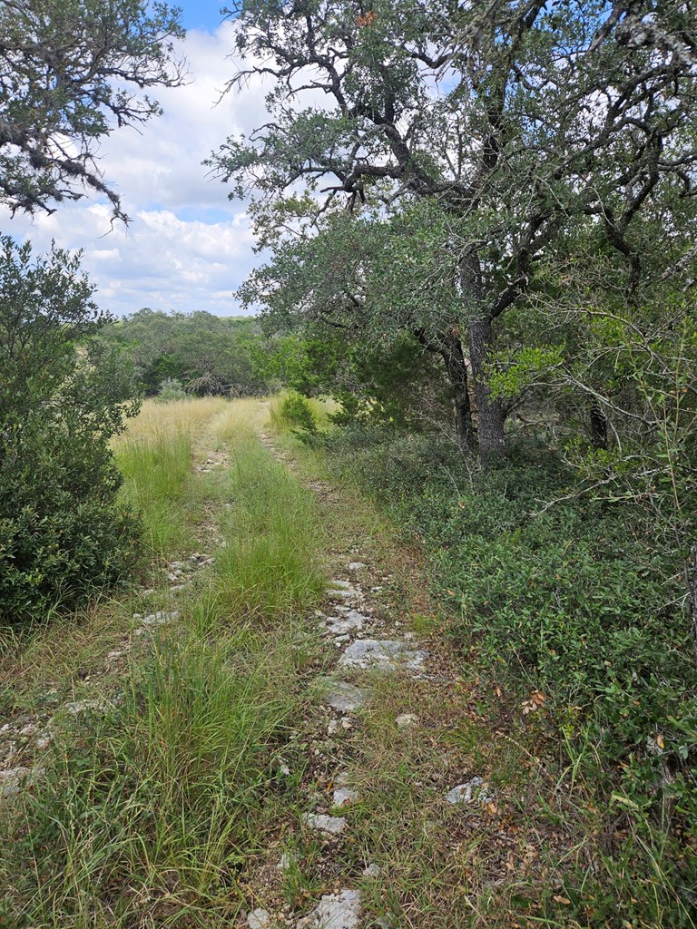 1862 Sd 31846 Rocksprings, TX 78880 - Photo 7 of 32 a view of lake with green space