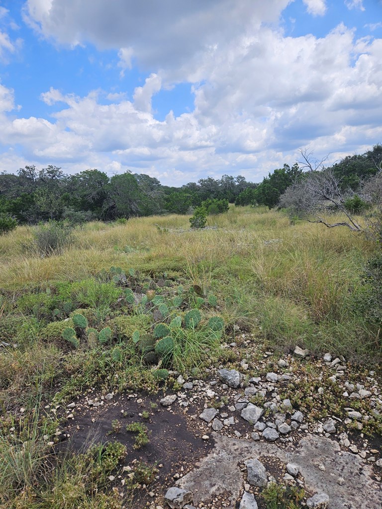 1862 Sd 31846 Rocksprings, TX 78880 - Photo 8 of 32 a view of a lake with a city