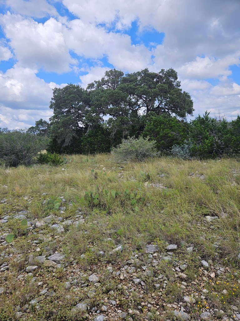 1862 Sd 31846 Rocksprings, TX 78880 - Photo 10 of 32 a view of a lake with houses in the back