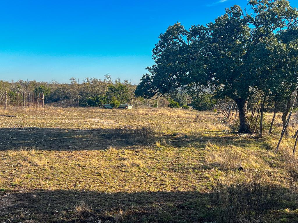 420 Ell Road Mountain Home, TX 78058 - Photo 14 of 17