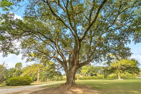 $600,000 | 79463 Hwy 1129 (n Lee Rd) Covington La, Covington, LA 70435