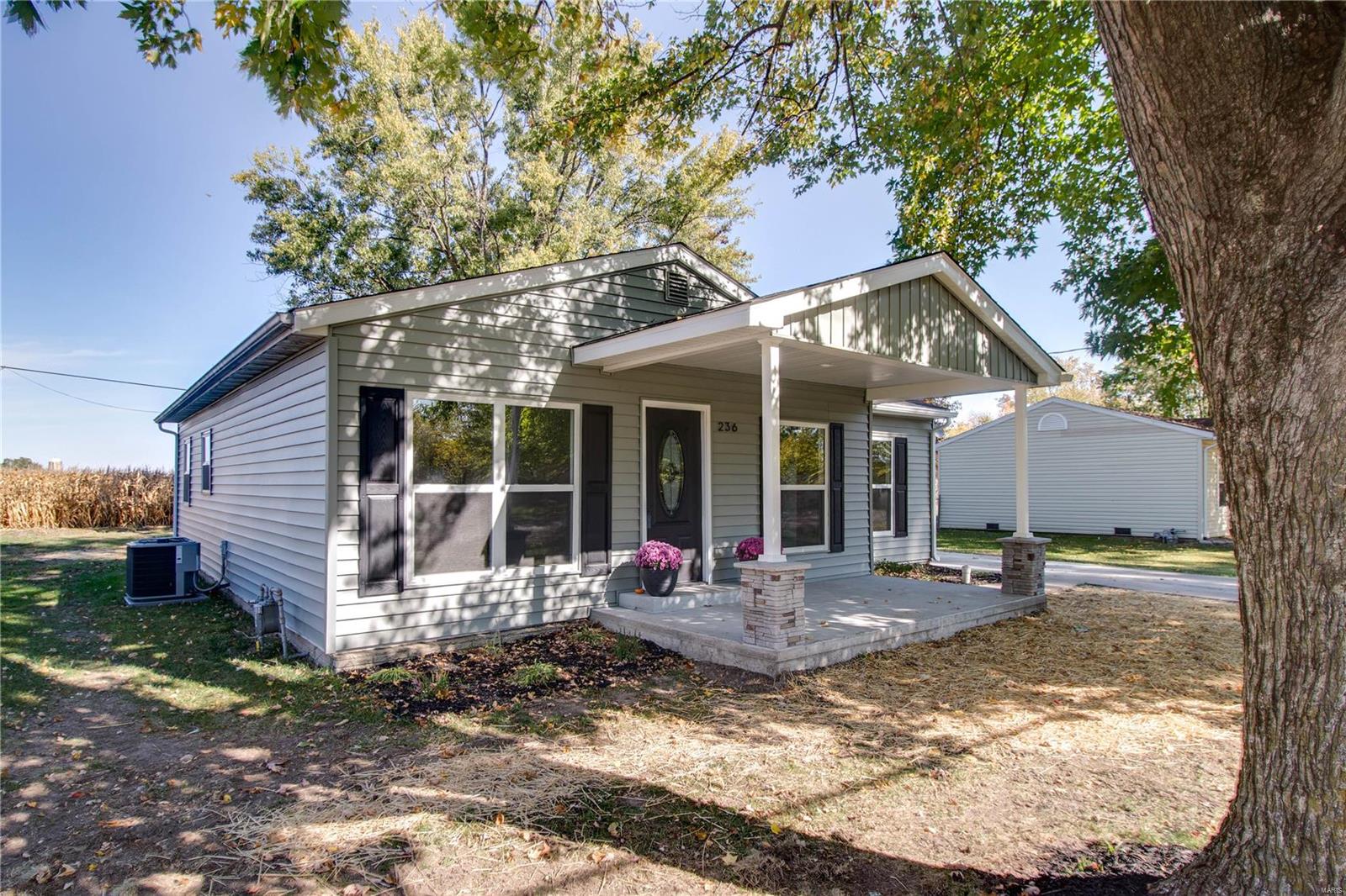 236 Virginia Street Brighton, IL 62012 - Photo 3 of 32 Gallery Image 3