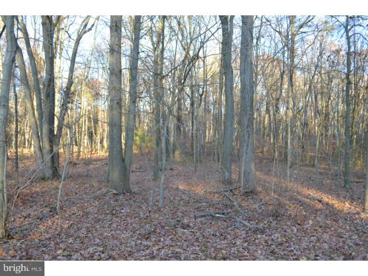 L:5 Mitchell Road Woodstown, NJ 08098 - Photo 1 of 3