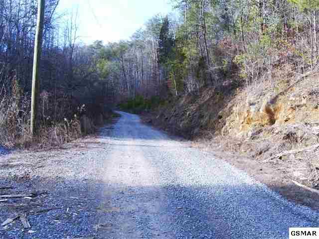 Rule Way Sevierville, TN 37876 - Photo 1 of 7 6