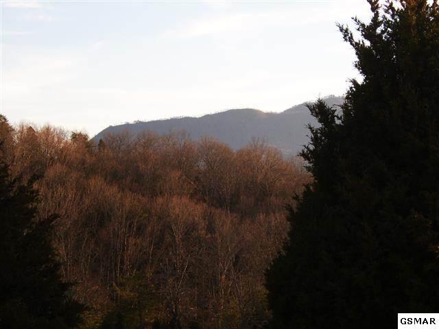 Rule Way Sevierville, TN 37876 - Photo 2 of 7 1