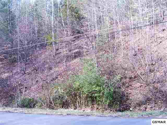 Rule Way Sevierville, TN 37876 - Photo 3 of 7 2