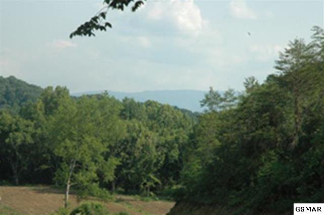 Rule Way Sevierville, TN 37876 - Photo 4 of 7 3