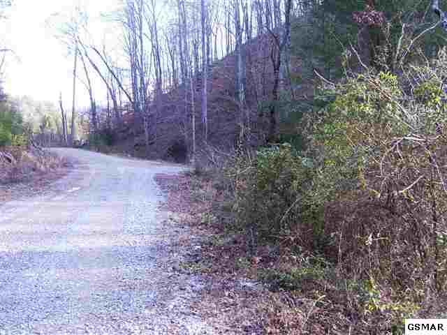 Rule Way Sevierville, TN 37876 - Photo 6 of 7 7