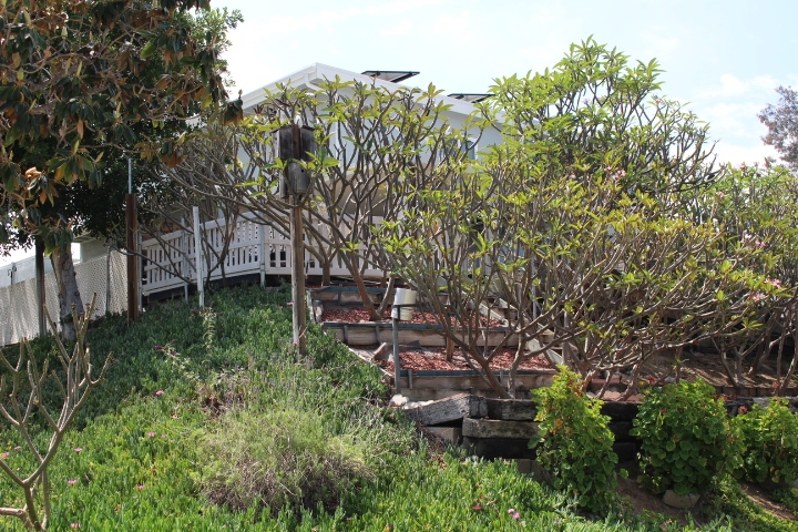 13232 Saddle Ridge Road Lakeside, CA 92040 - Photo 23 of 24 Gallery Image 23