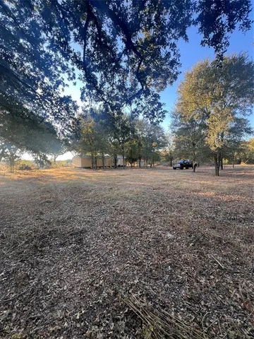 a view of dirt yard with a large tree