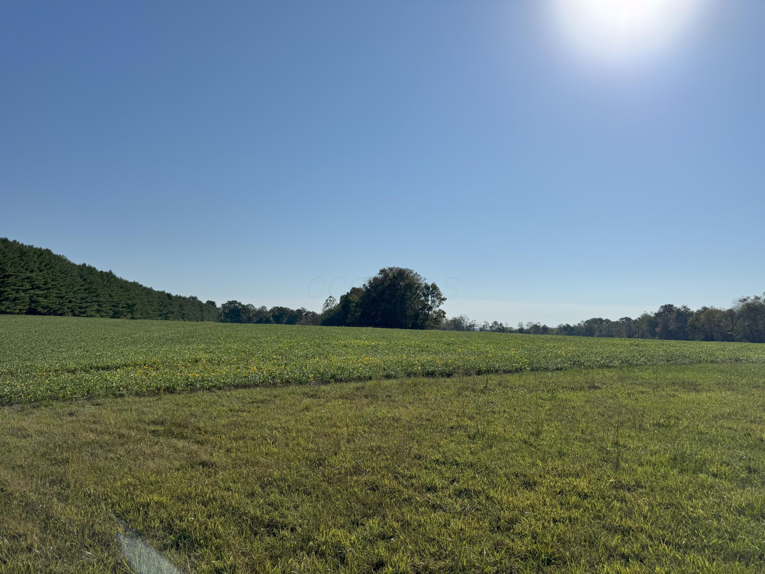 0 McKinney Road Piketon, OH 45661 - Photo 15 of 27 IMG_8905