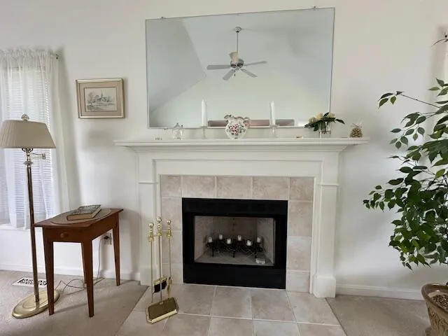 a living room with a fireplace and a potted plant