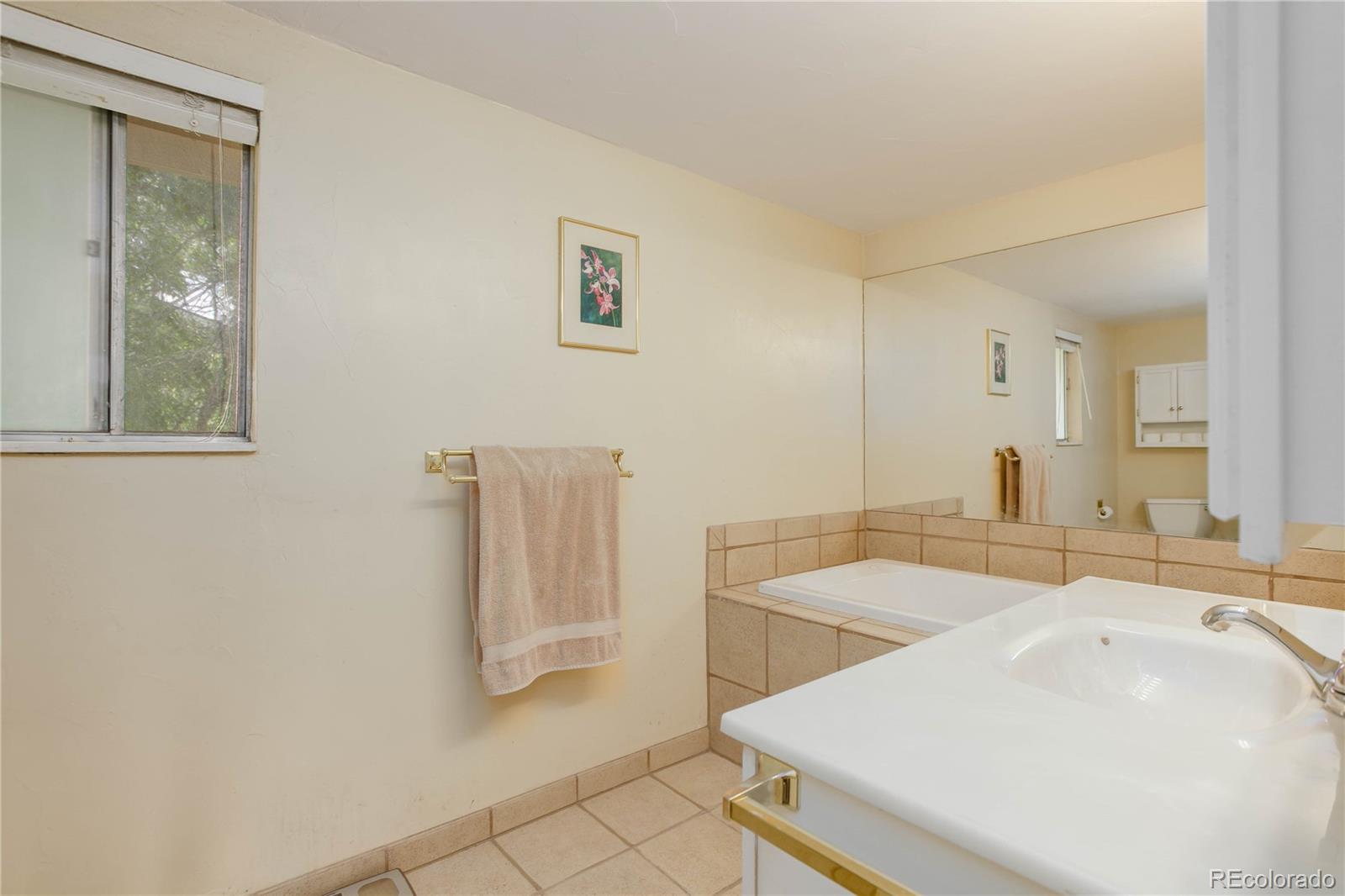 7347 South Ridgeview Drive Littleton, CO 80120 - Photo 21 of 36 a bathroom with a sink and a mirror