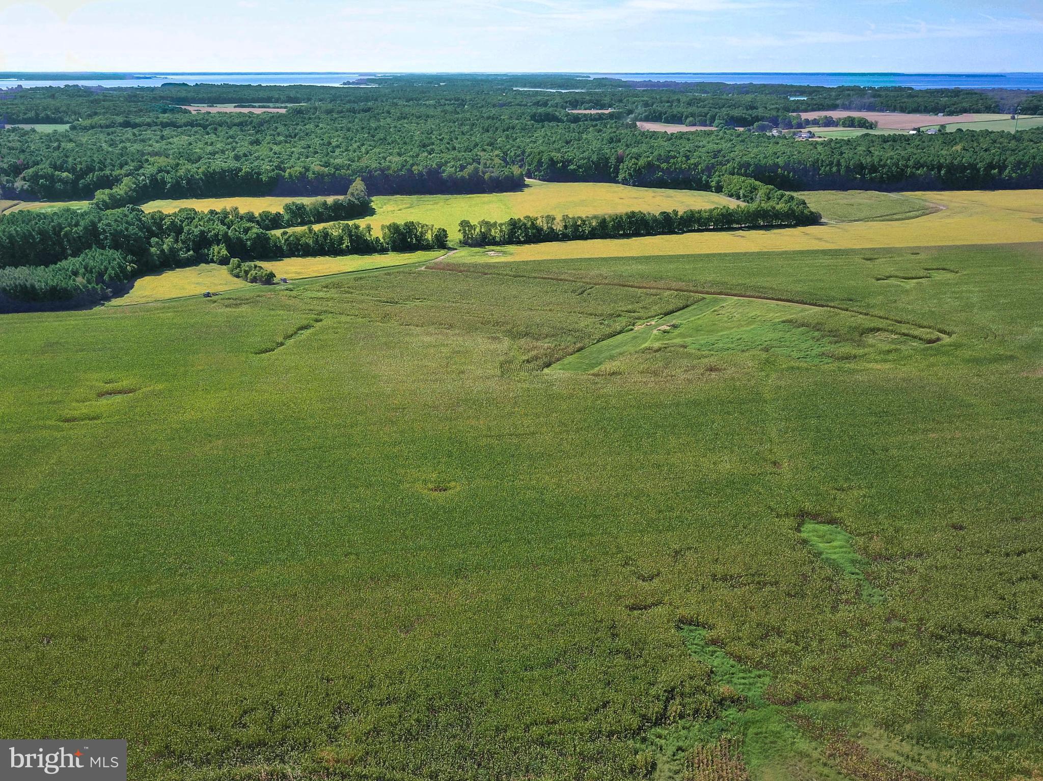 Edesville-piney Neck Road Rock Hall, MD 21661 - Photo 1 of 3