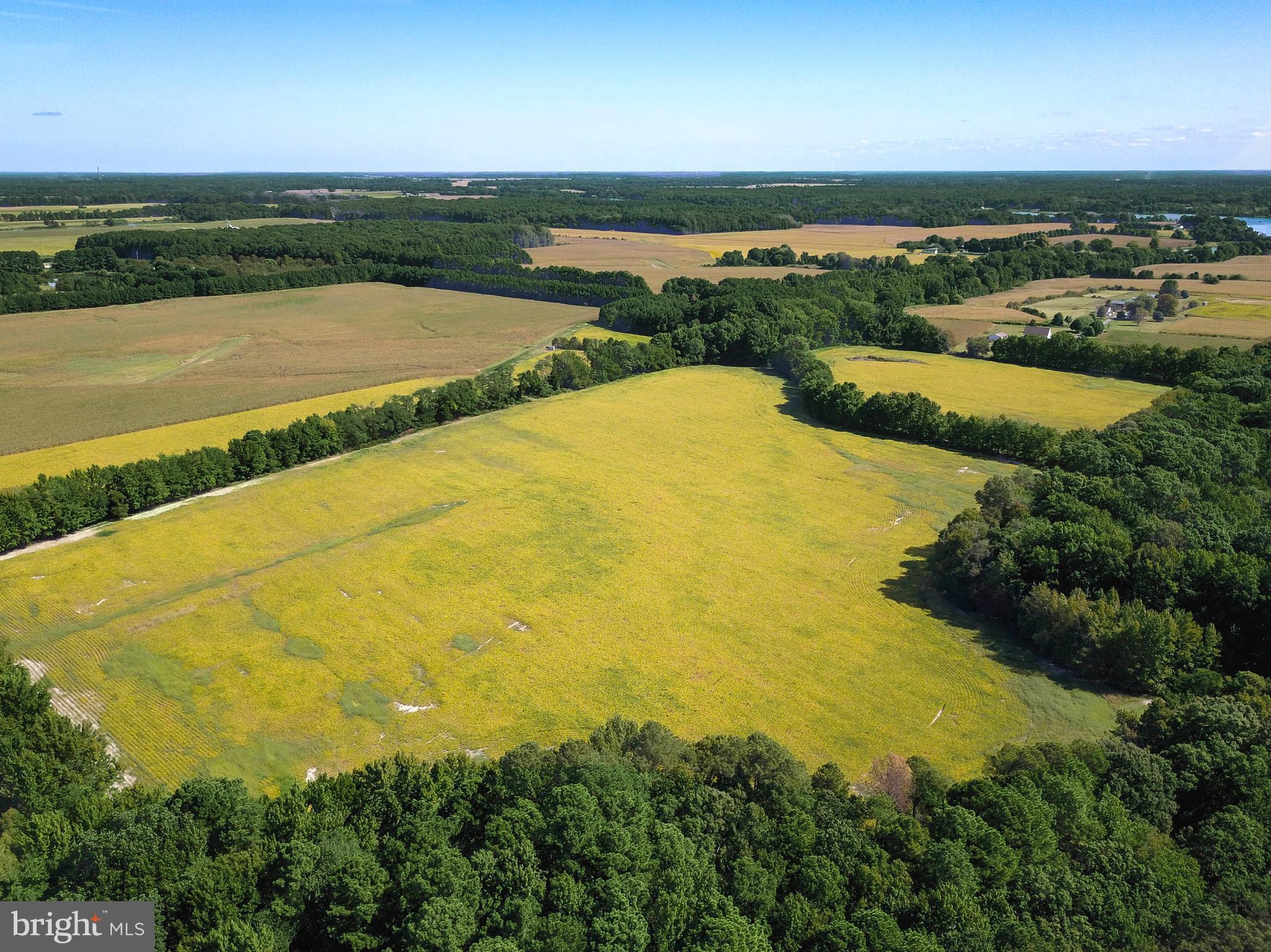 Edesville-piney Neck Road Rock Hall, MD 21661 - Photo 3 of 3