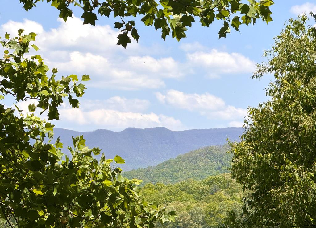 197 Eagles View Road Hayesville, NC 28904 - Photo 23 of 70