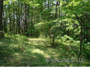 1882 Whiteside Road Mill Spring, NC 28756 - Photo 11 of 12