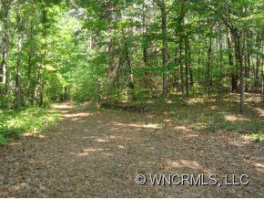 1882 Whiteside Road Mill Spring, NC 28756 - Photo 3 of 12