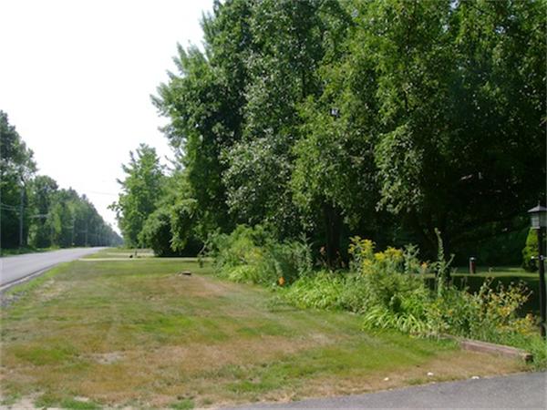 274 Wallace Hill Road Townsend, MA 01469 - Photo 7 of 27 a big yard with lots of green space and plants