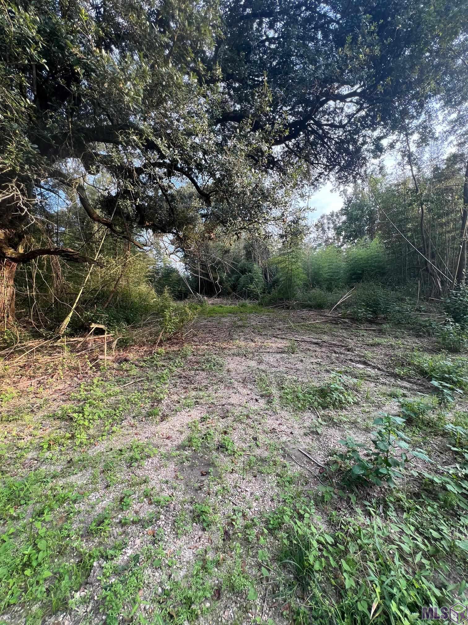 A2-a3 A2-a3 Greenwell Springs Road Greenwell Springs, LA 70739 - Photo 5 of 5