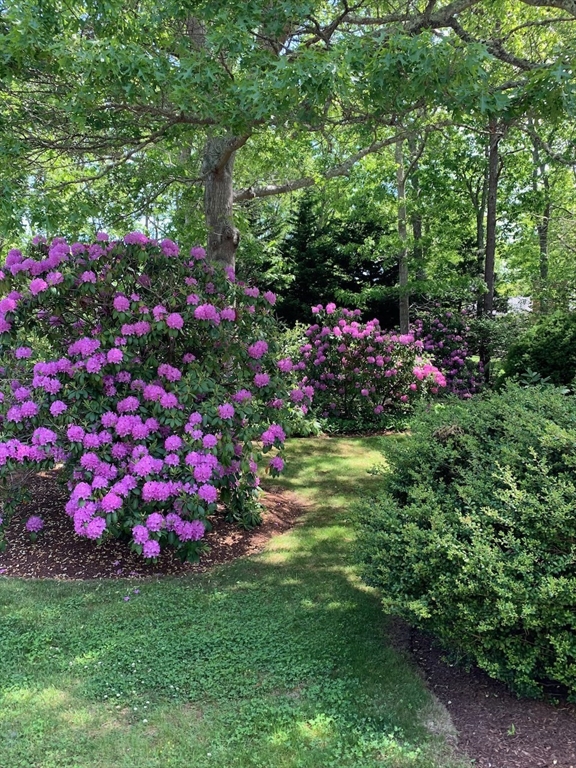 9 Sandhill Lane Orleans, MA 02653 - Photo 4 of 42