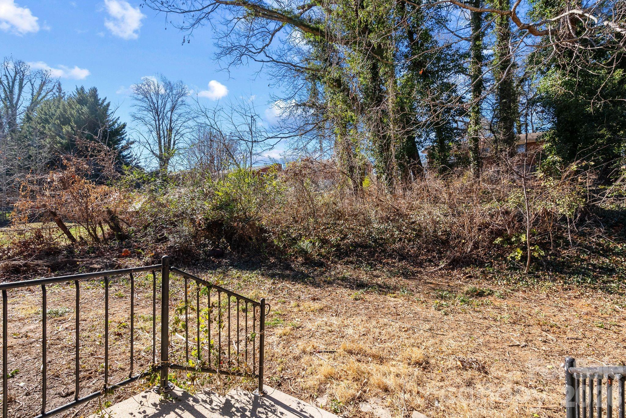 19 Browndale Road Asheville, NC 28805 - Photo 29 of 39