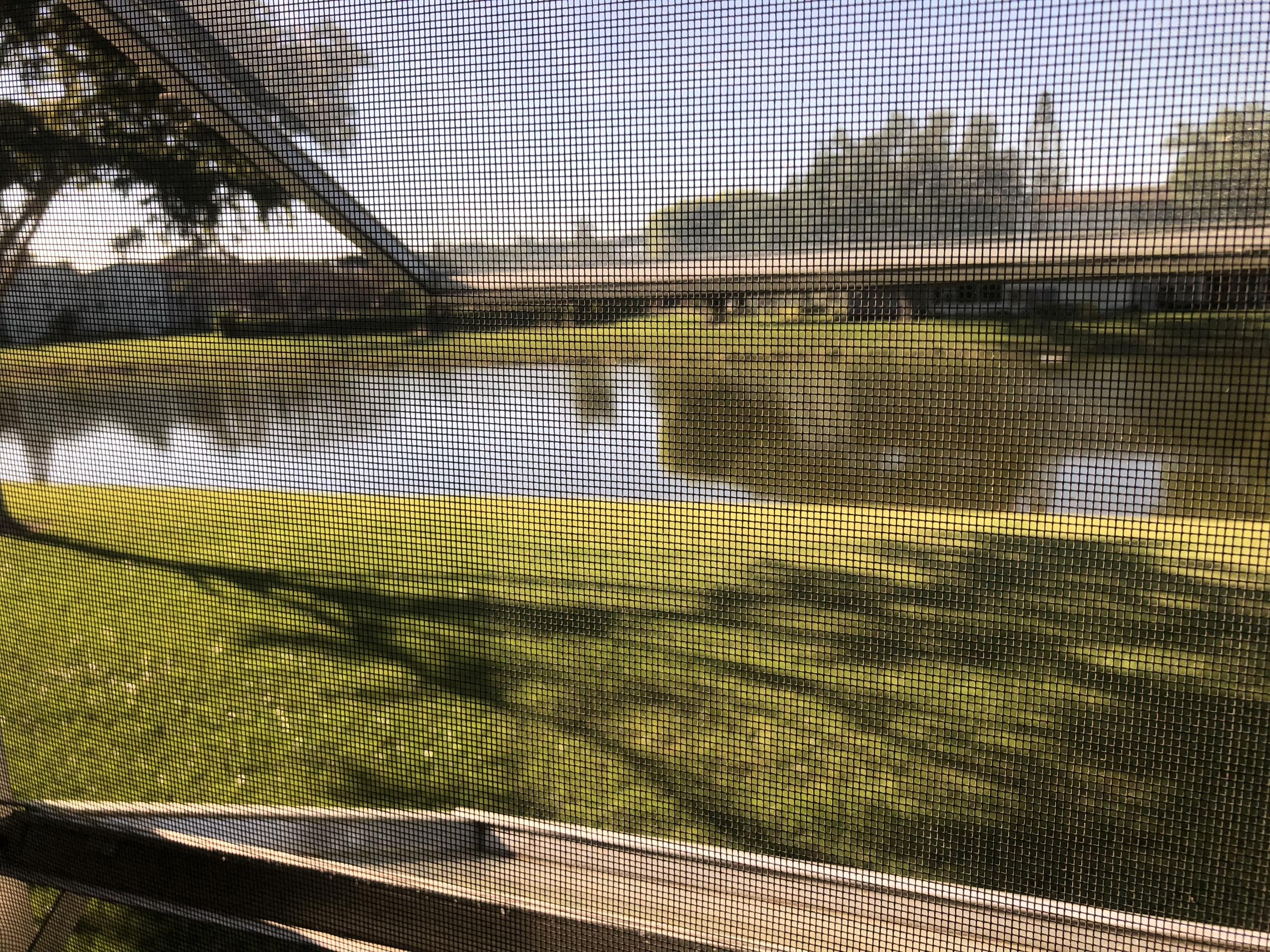 351 Dorset I Boca Raton, FL 33434 - Photo 21 of 22 IMG_0261