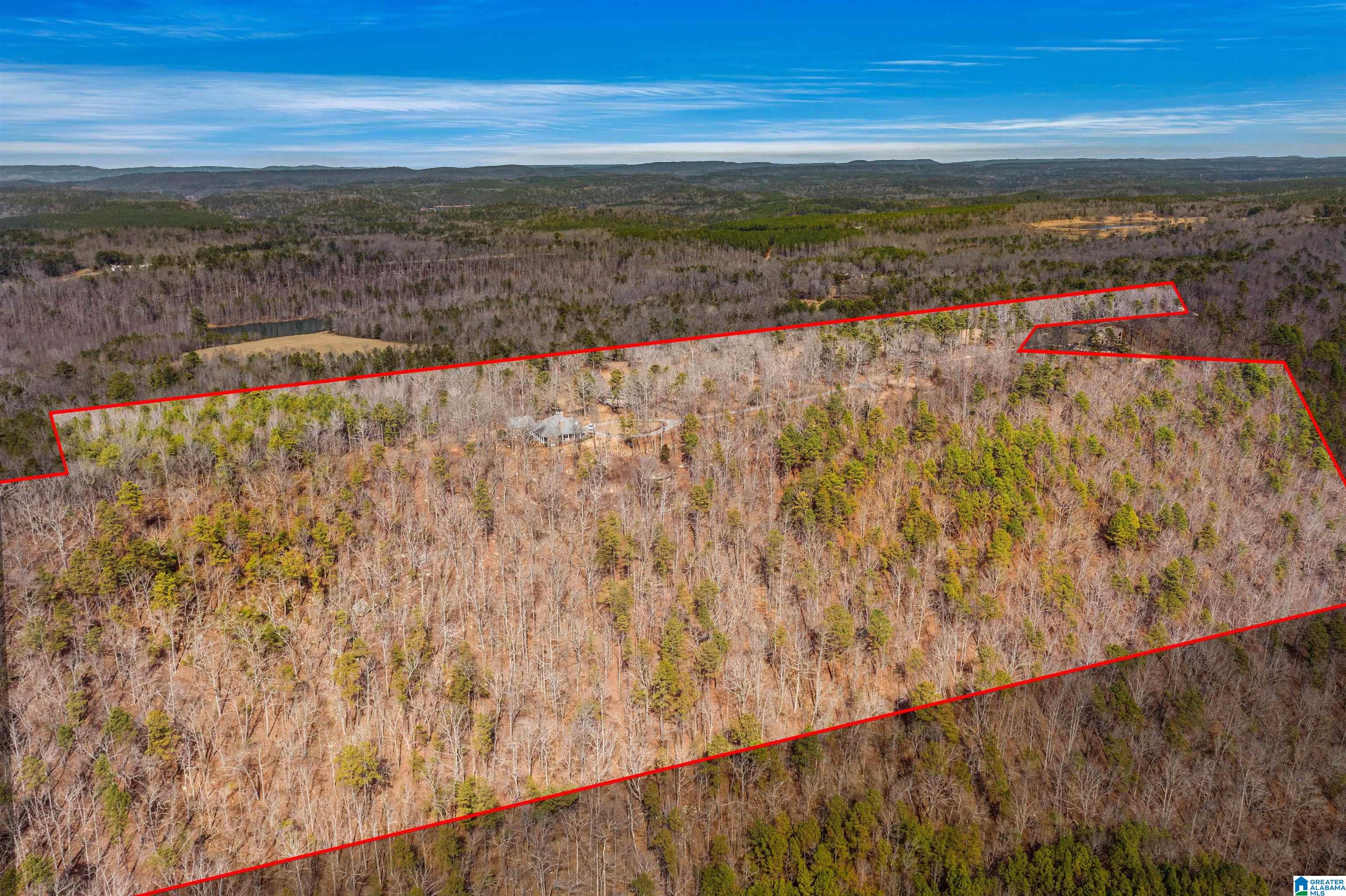 575 Mountain View Lane Springville, AL 35146 - Photo 60 of 84