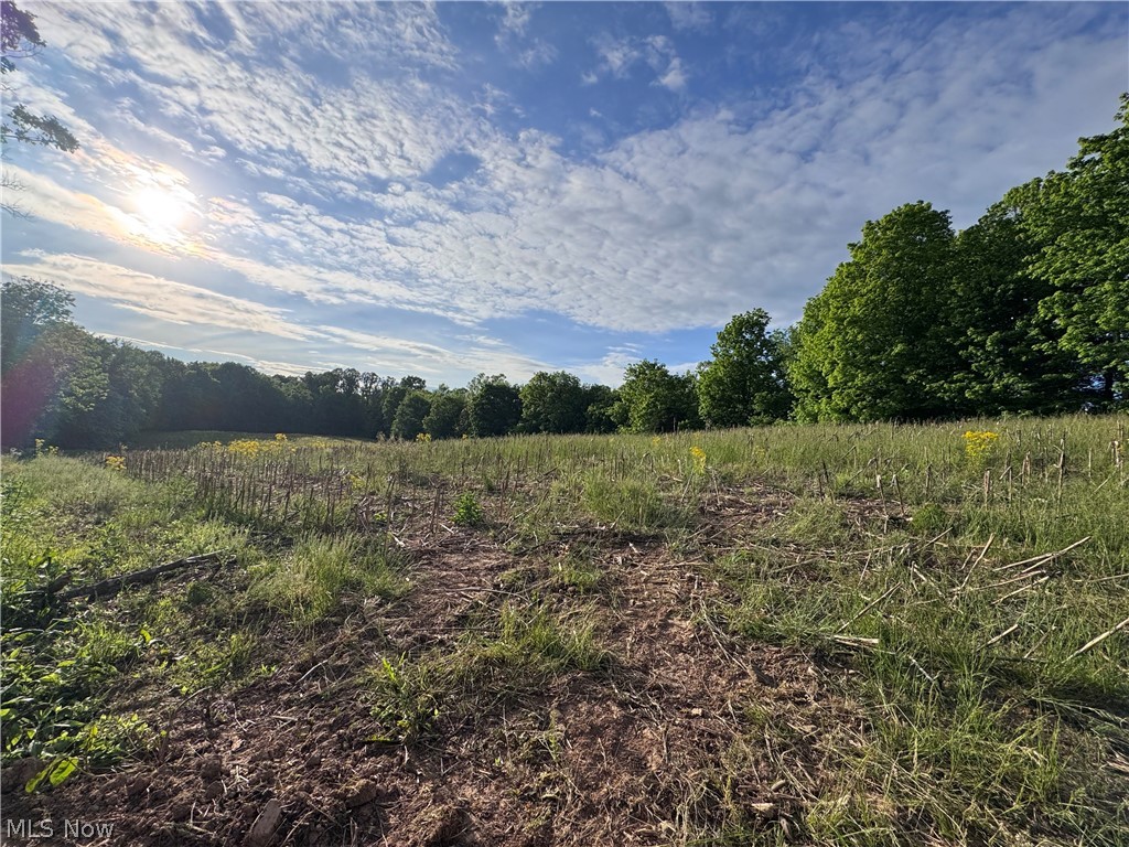 Hill Road, Unit 11 Waterford, OH 45786 - Photo 2 of 9