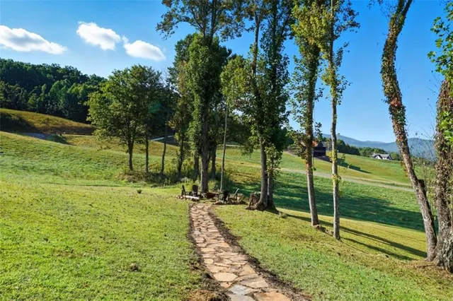 a view of a park with large trees