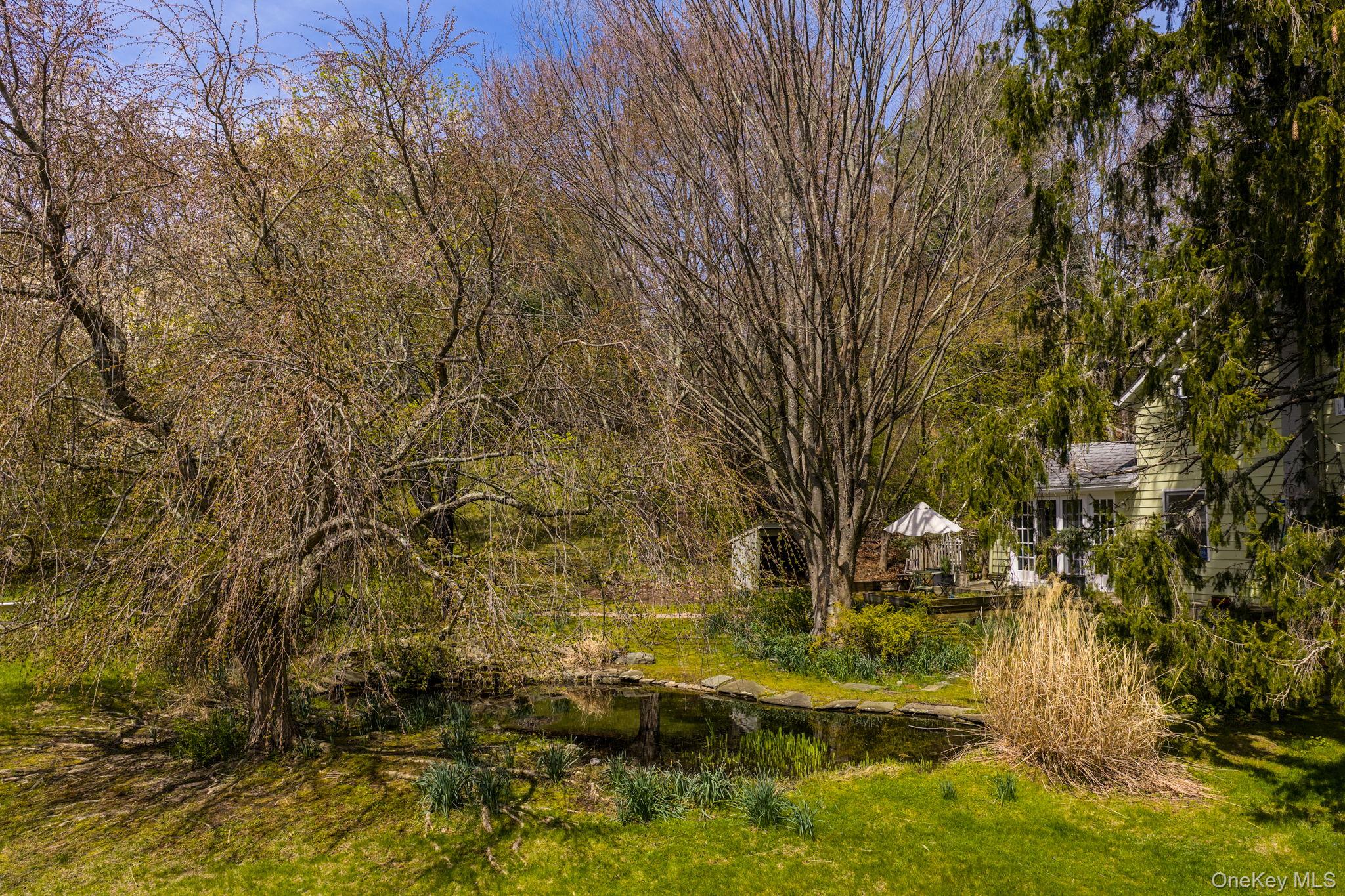 271 High Road Glen Spey, NY 12737 - Photo 40 of 49 Koi Pond
