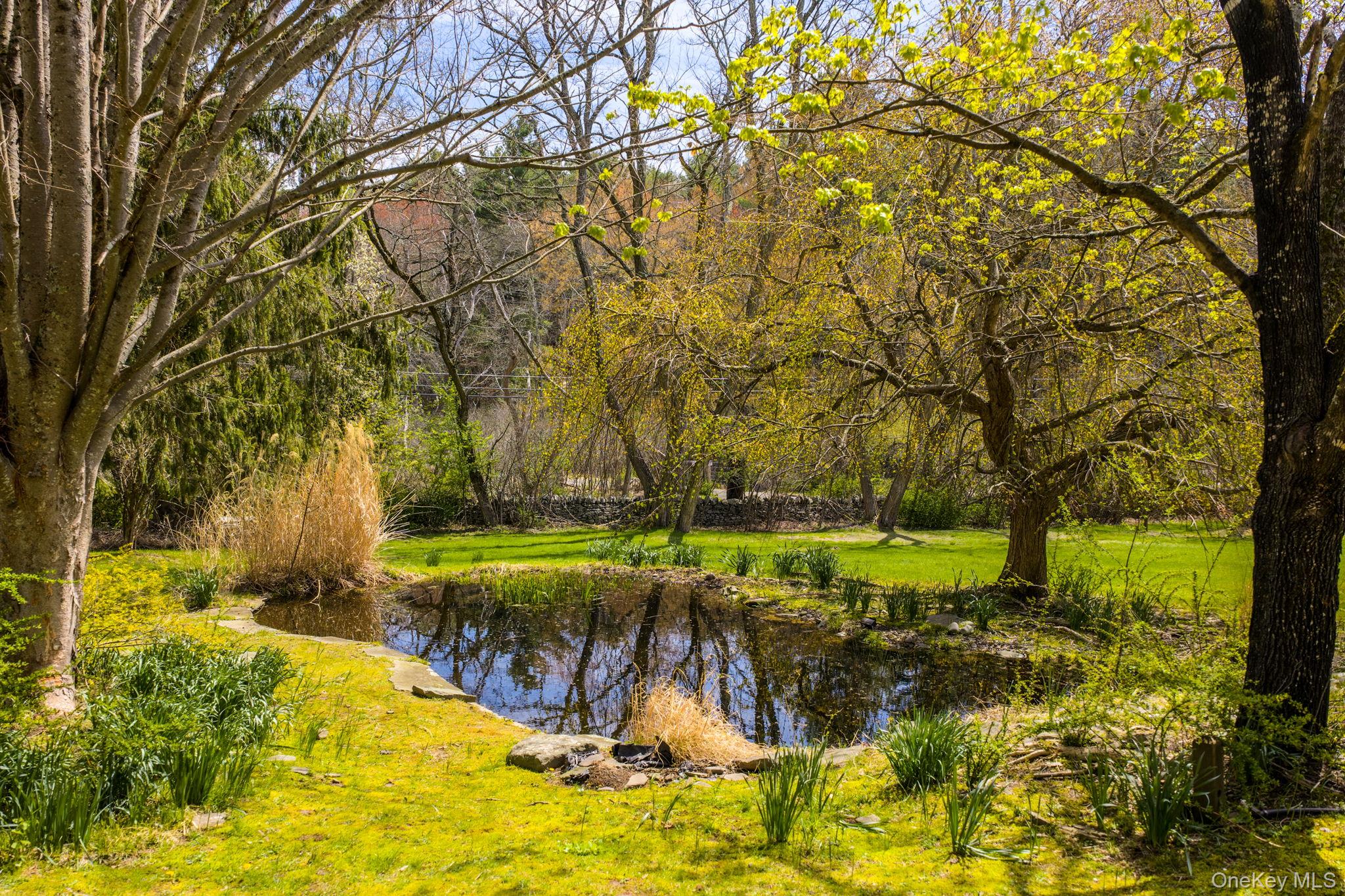 271 High Road Glen Spey, NY 12737 - Photo 4 of 49