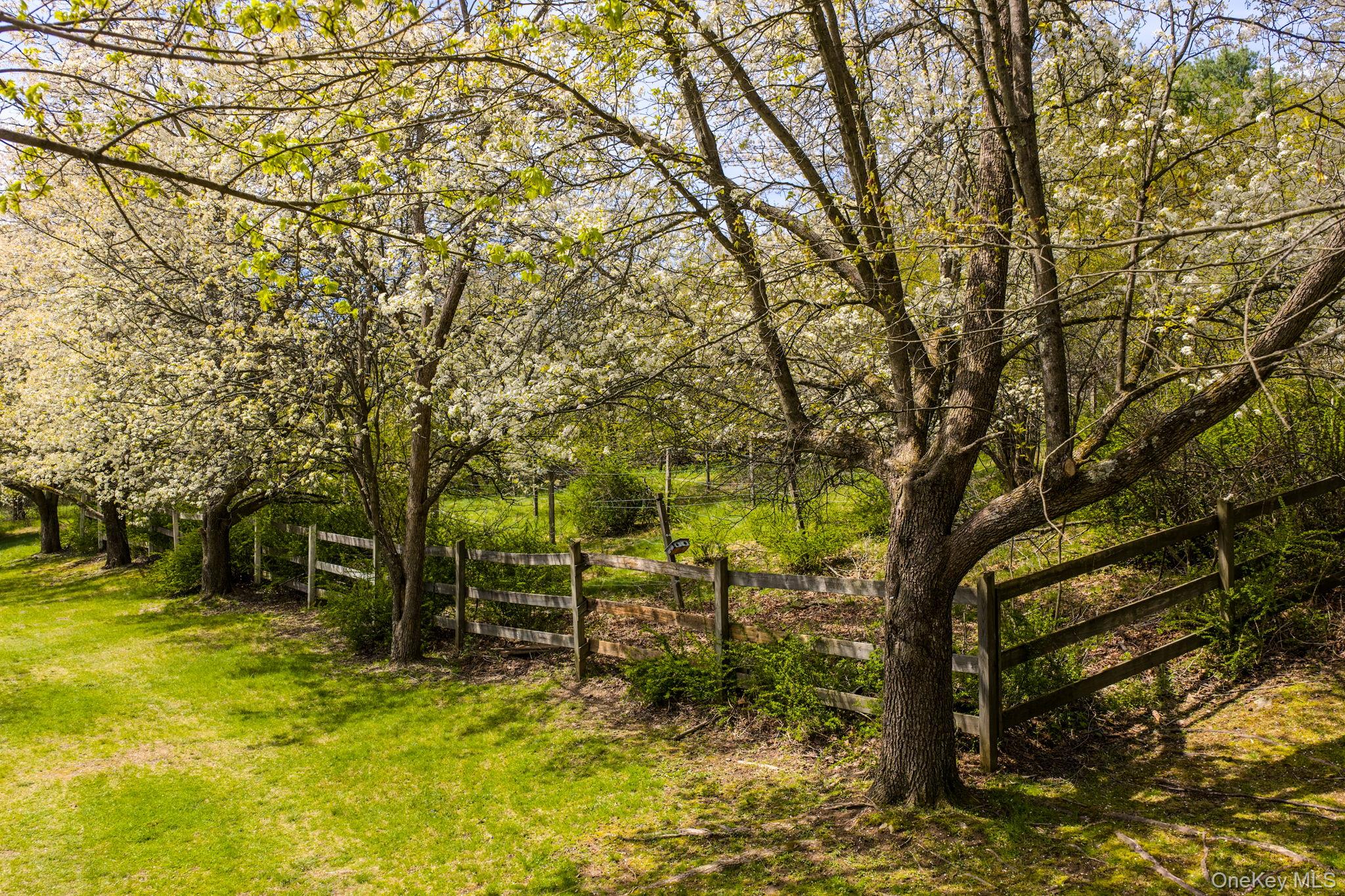 271 High Road Glen Spey, NY 12737 - Photo 44 of 49