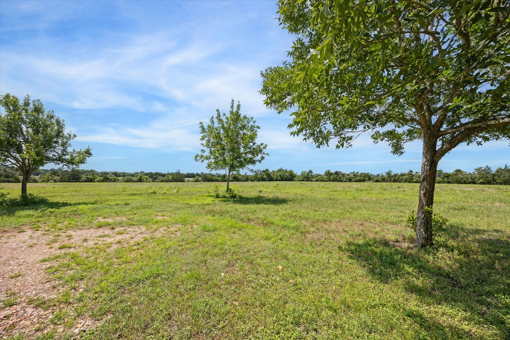 1011 FM 2502 Road Bellville, TX 77418 - Photo 17 of 17 Gallery Image 17