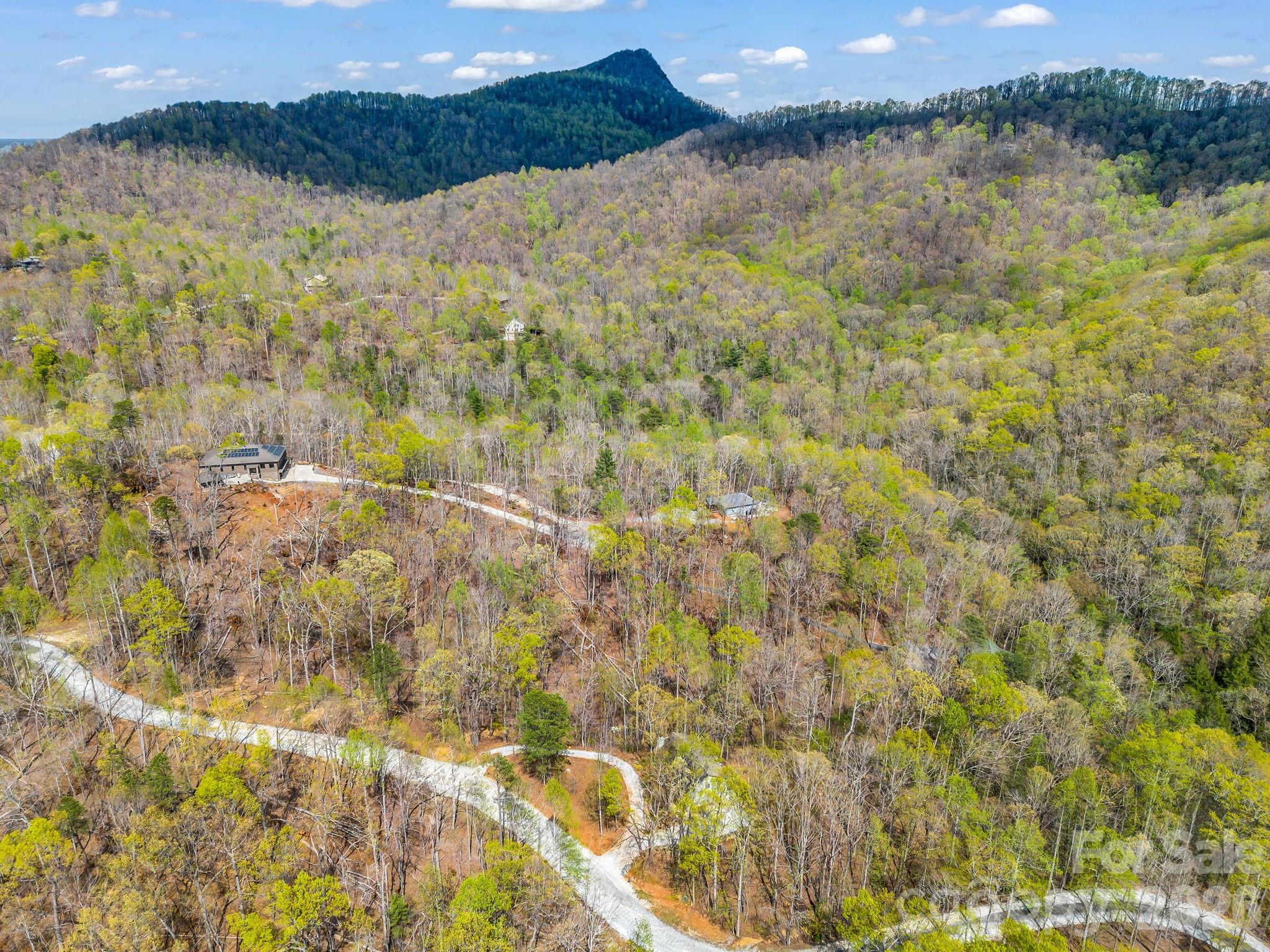 780 Rixhaven Drive Saluda, NC 28773 - Photo 9 of 36