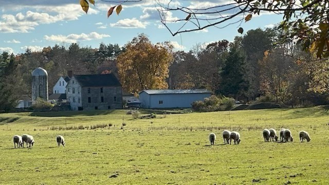 12 South Acton Road Stow, MA 01775 - Photo 40 of 41