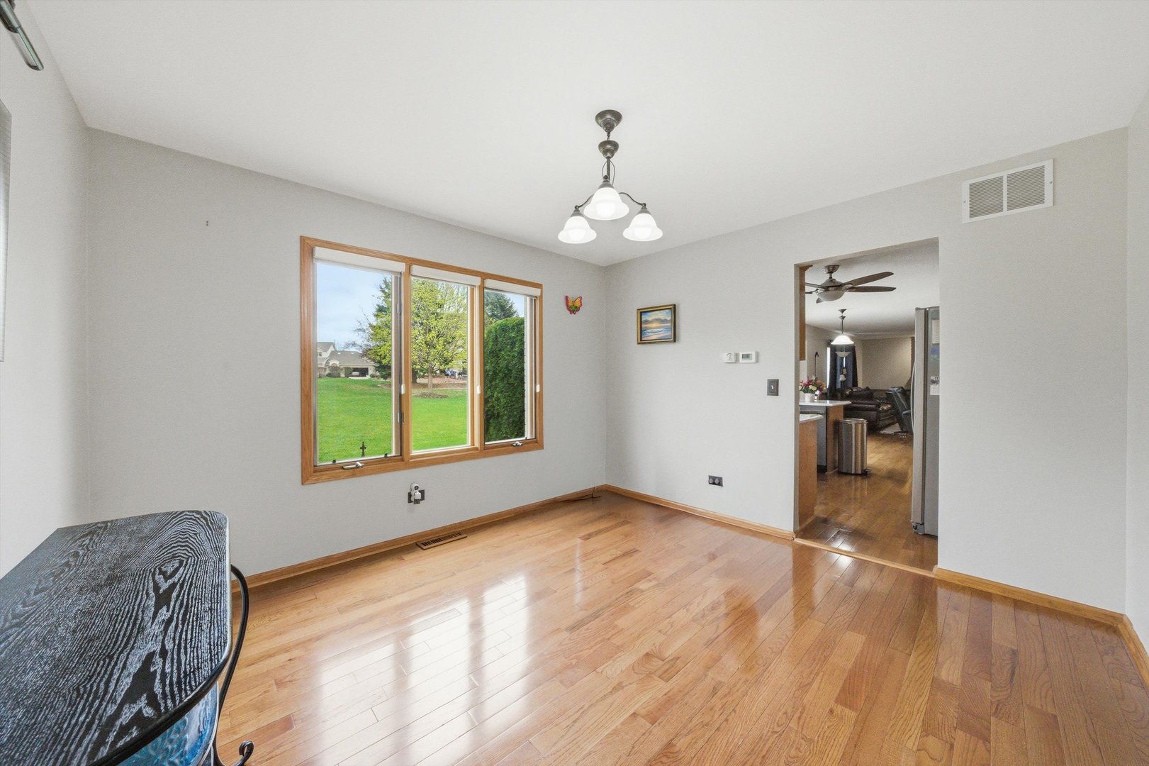 572 Bishops Gate New Lenox, IL 60451 - Photo 14 of 37 a view of livingroom with window