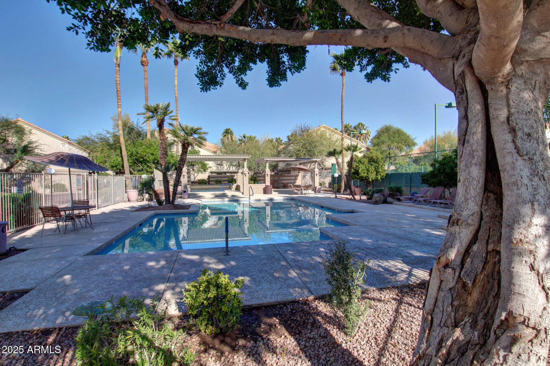 1287 North Alma School Road, Unit 156 Chandler, AZ 85224 - Photo 28 of 34 a view of a backyard