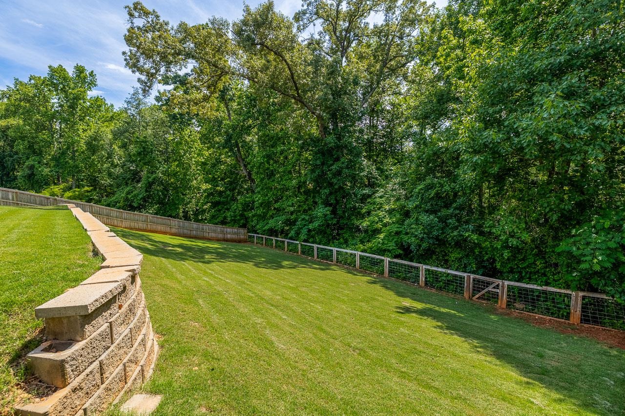 235 Castleton Circle Boiling Springs, SC 29316 - Photo 46 of 48