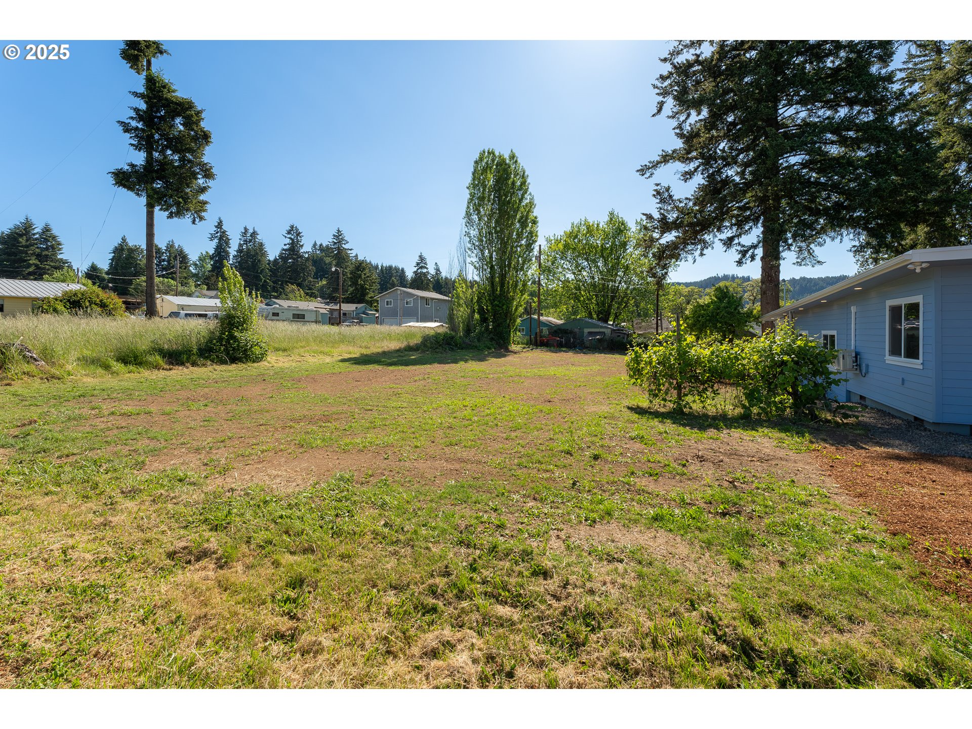 Anne Street Yoncalla, OR 97499 - Photo 4 of 12