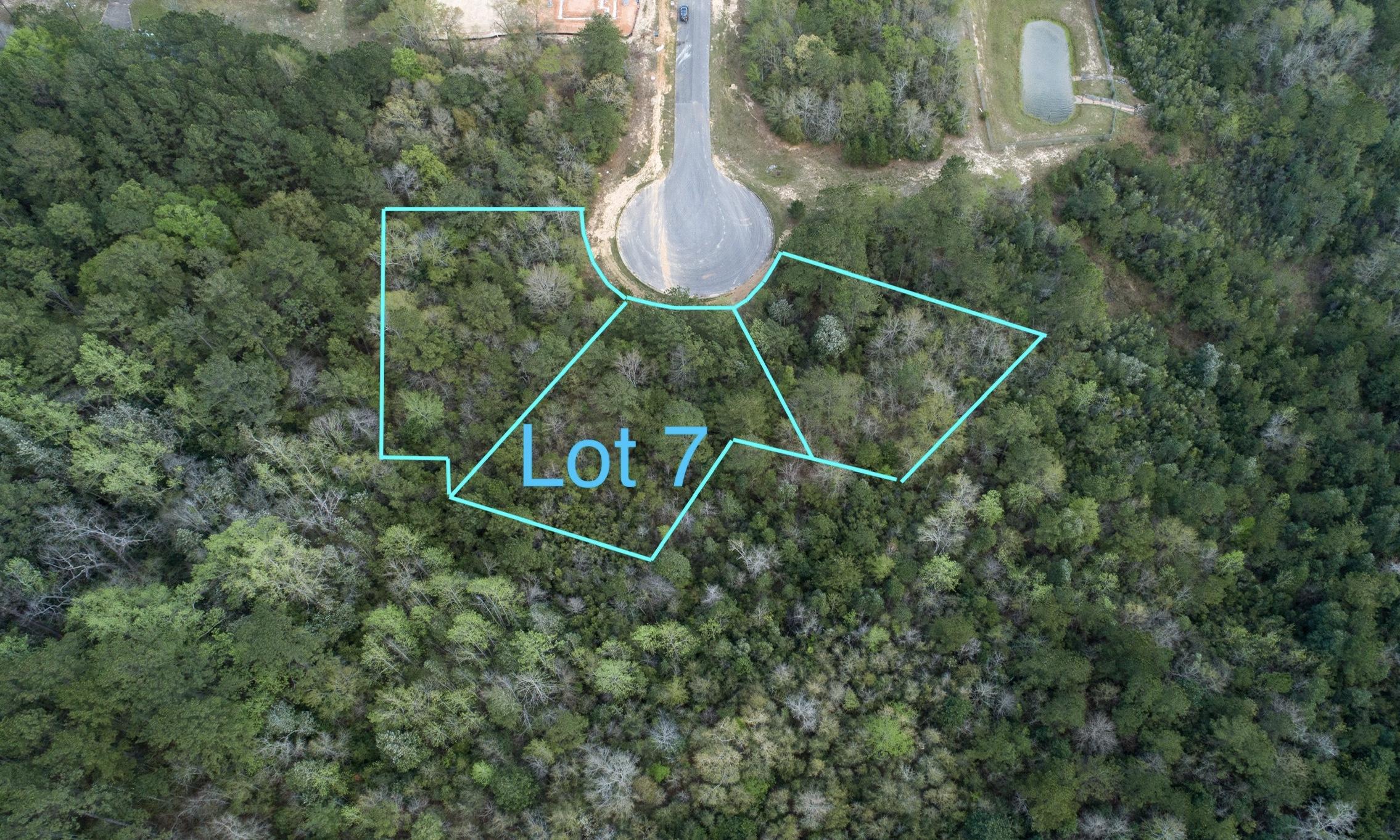 Lot 7