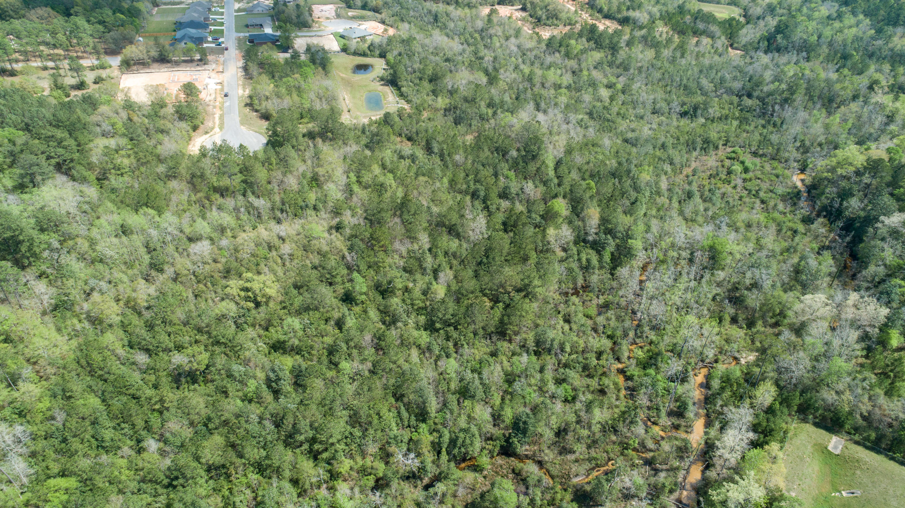Lot 7 Marigold Loop Crestview, FL 32539 - Photo 14 of 18 DJI_0200