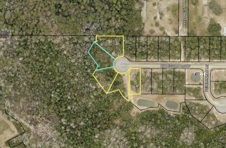 lot7