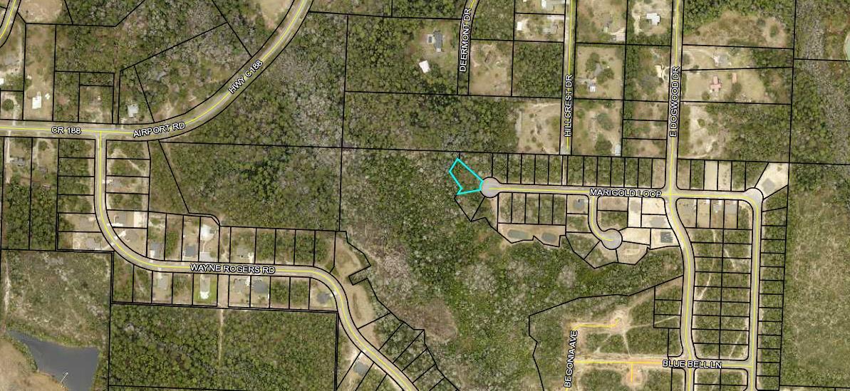 Lot 7 Marigold Loop Crestview, FL 32539 - Photo 8 of 18 Lot7 overview