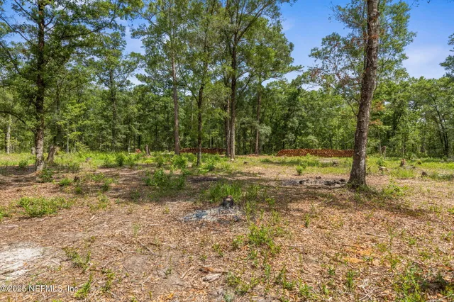 $515,000 | 4820 Randolph Street, Hastings, FL 32145