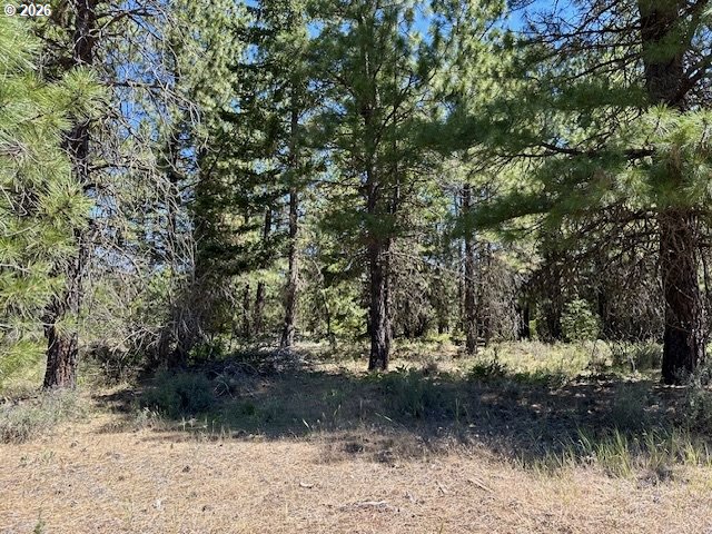 41 Timber Drive Goldendale, WA 98620 - Photo 17 of 23