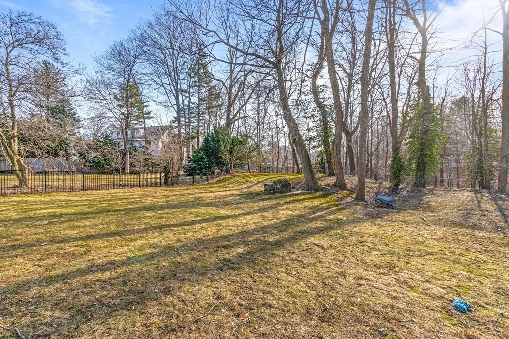 288 Mill Street Newton, MA 02460 - Photo 30 of 35 a view of a yard with large trees