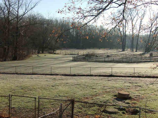 10982 Back Road Maurertown, VA 22644 - Photo 17 of 35 a view of a yard with large trees